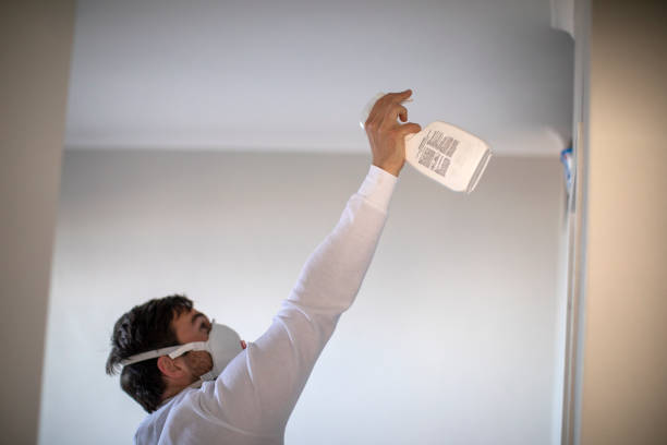 Best Water Damage Restoration  in Upper Brookville, NY