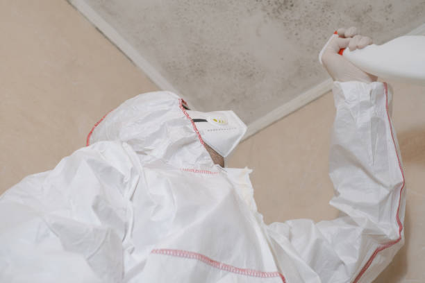 Best Mold Cleaning Services  in Upper Brookville, NY